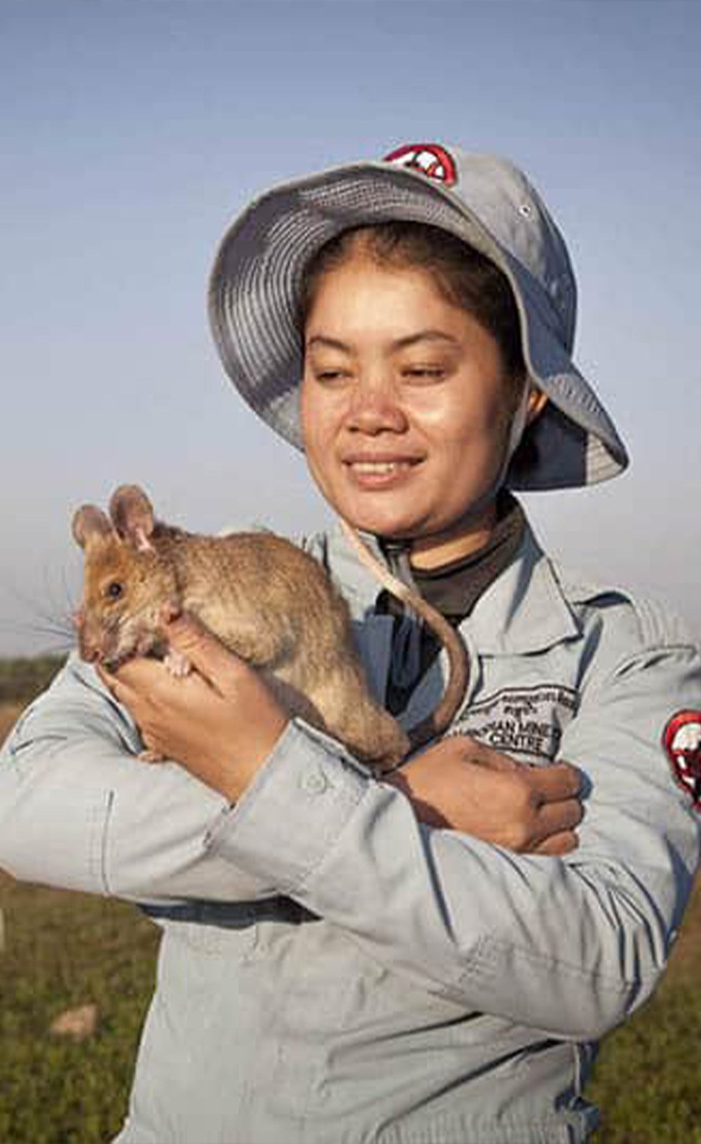 SmallChange_Cambodia_ApopoHeroRats_mobile