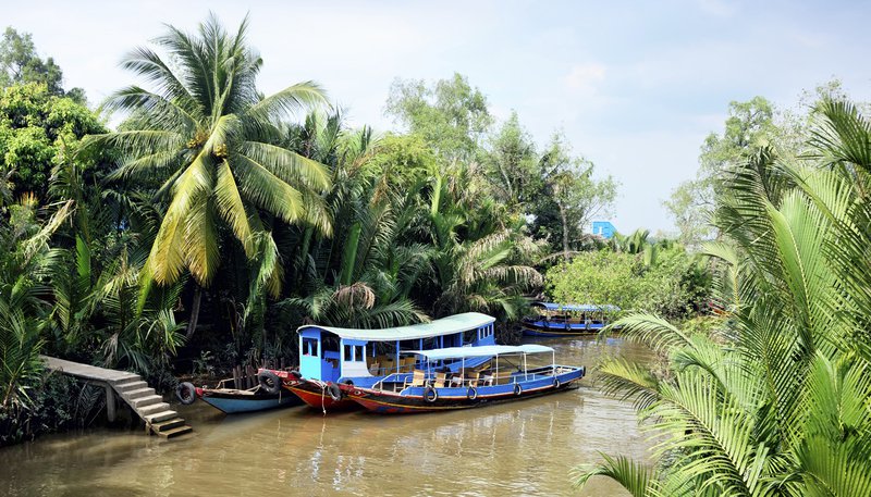 Mekong Delta Small Change